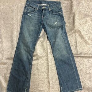 Banana Republic Blue Straight Leg Jeans